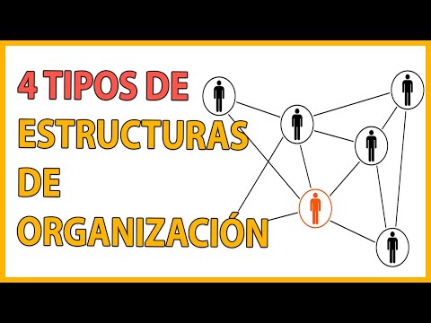 Estructura Organizacional para Proyectos: Guía Completa