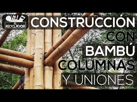 Bambú: el material ideal para construcciones