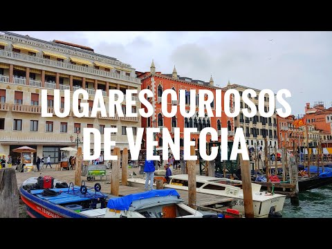 Descubre la belleza de la Plaza San Marcos en Venecia