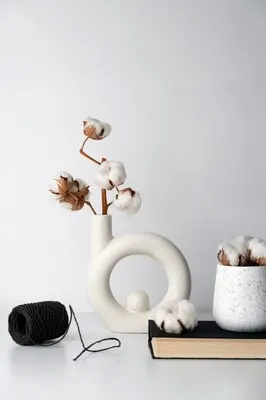 Fluffy cotton plant in vase used in interior decor