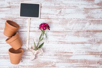 Flat lay gardening concept with copyspace