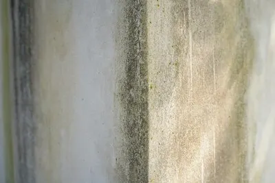 Weathered Concrete Surface with Grime and Mildew