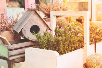 Garden decorations with bird house and small plants with spring season color