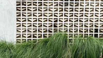 Geometric Concrete Wall Texture and Lush Green Grass Contrast