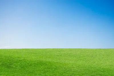 Green hill