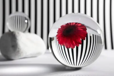 Crystal balls and flower arrangement