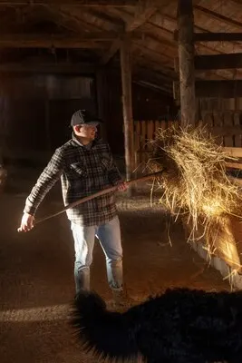 Full shot man working in barn