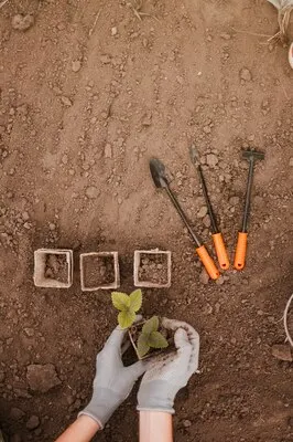 Pots and gardening tools