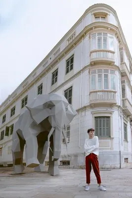 Man with 3d elephant illustrated