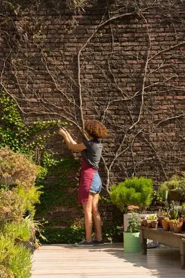 Young woman taking care of plants