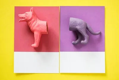 Color miniature dog figure model