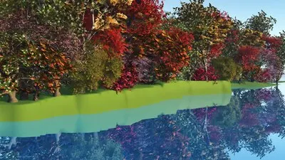 Forest on the side of a river
