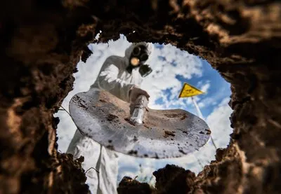 Ecologist digging pit by shovel and planting tree in polluted area
