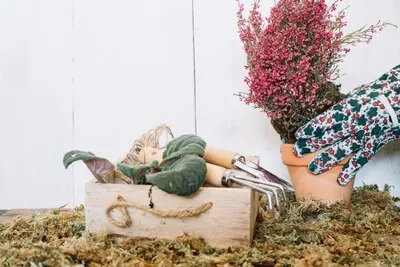 Crop hand holding potted plant
