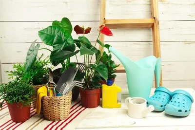 Composition of garden tools