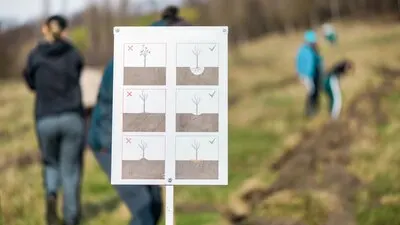 A sign showing how to plant trees correctly