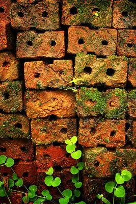 urban green rusty stone grunge