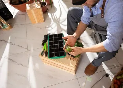Man with plants that have been cultivated and farmed indoors