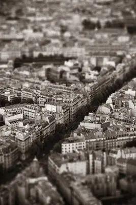 Paris city street rooftop view at sunset tilt-shift effect in black and white.