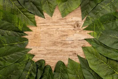 Green leaves laid out on a wooden brown background