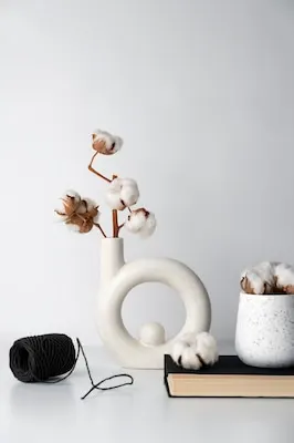 Fluffy cotton plant in vase used in interior decor