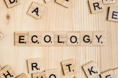 Ecology word on wooden tiles