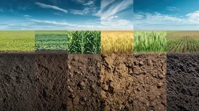 Agricultural Diversity Fields and Earth Layers
