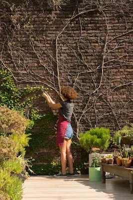 Young woman taking care of plants